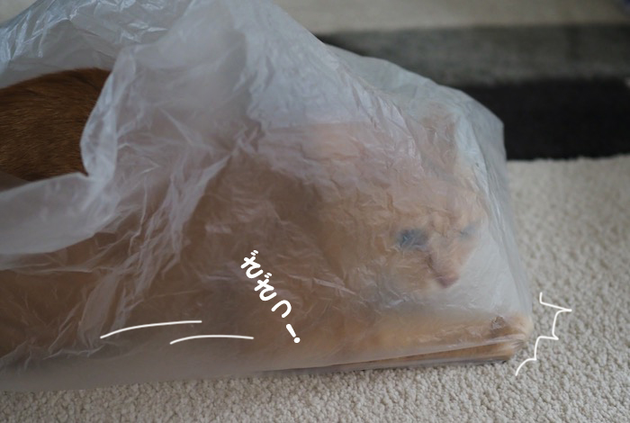 27日夕ブログ５