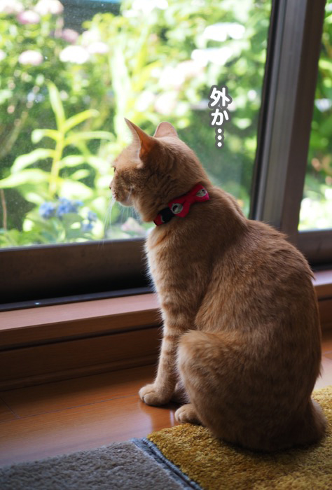 5日ブログ４