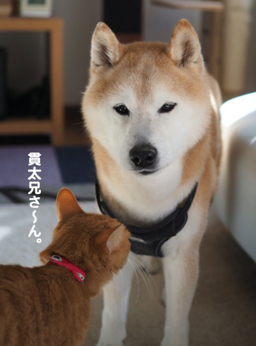 5日夕ブログ２