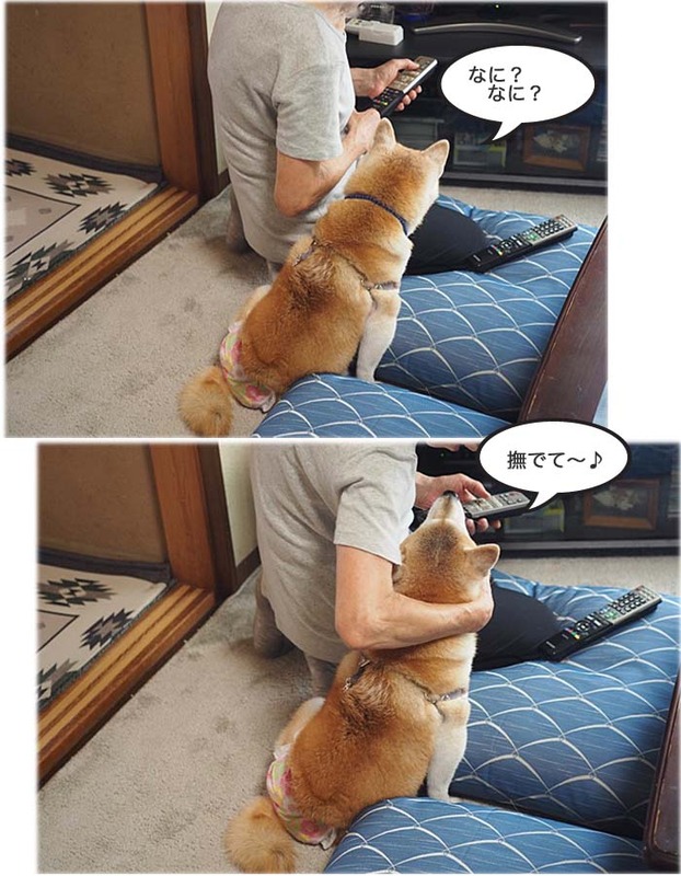 25日ブログ２