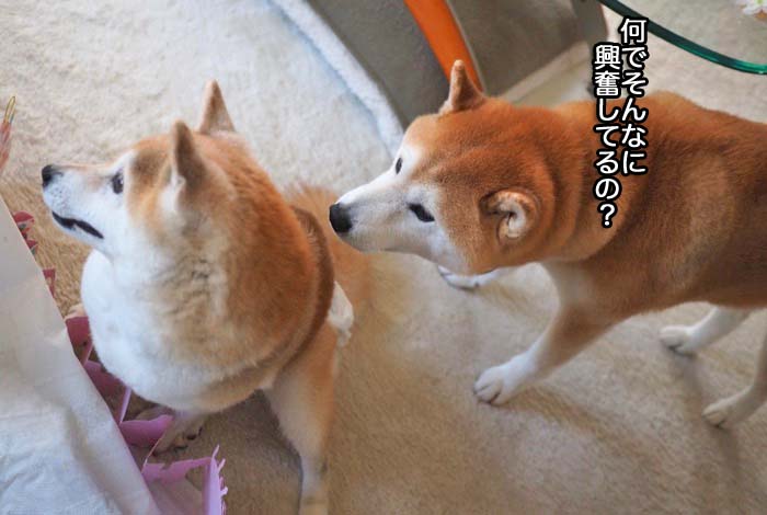 3日午後ブログ９