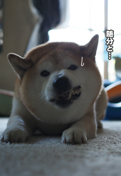 10日ブログ６