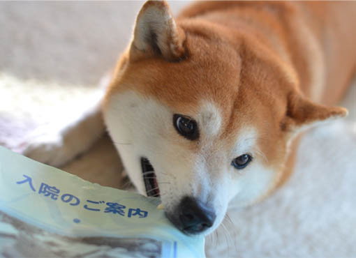 31日ブログ3.jpg