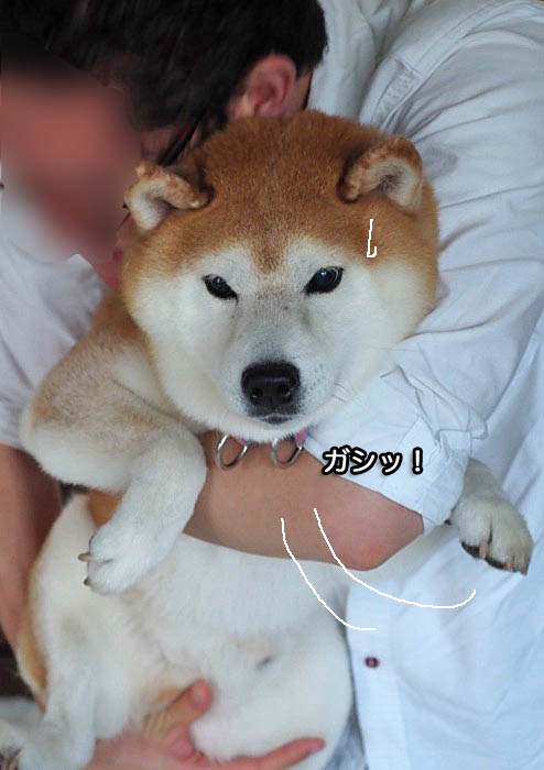 18日ブログ７