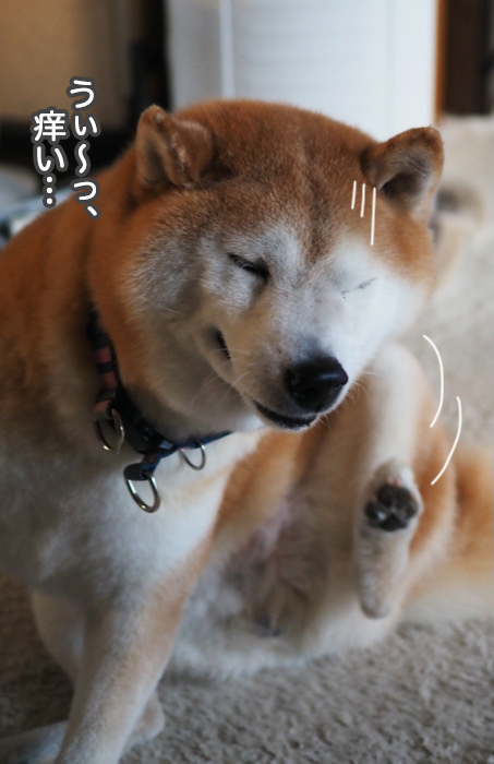 9日夜ブログ３
