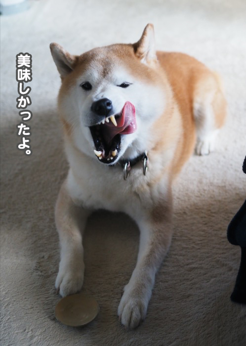 10日夕ブログ８