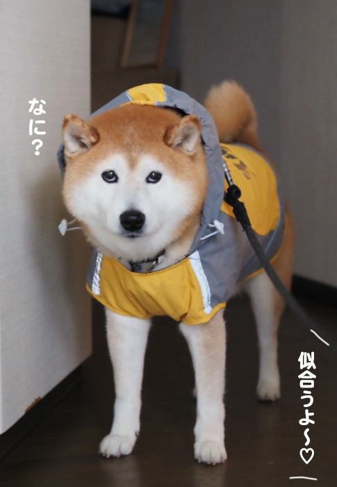 3日夜ブログ６