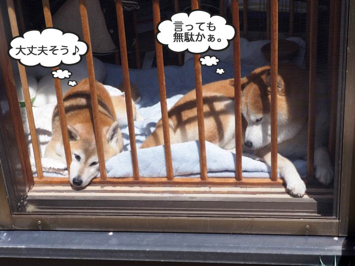 25日夜ブログ６