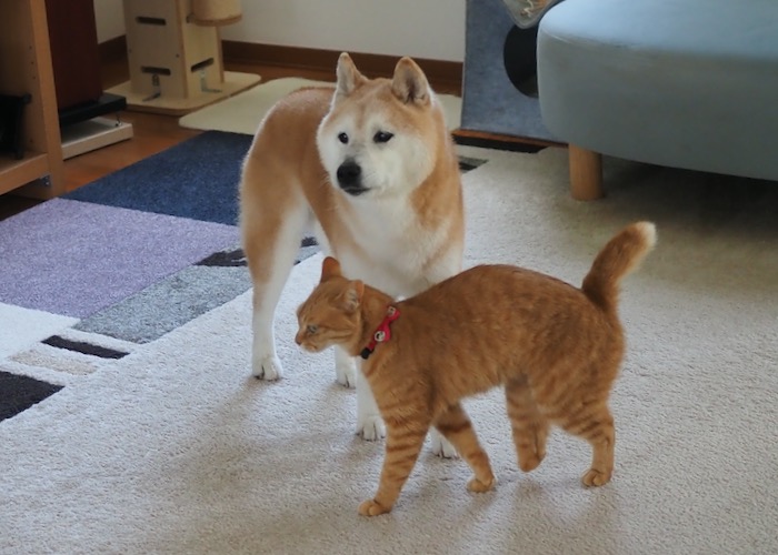 10日ブログ５
