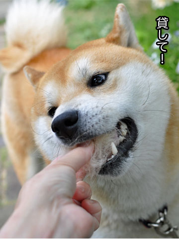24日ブログ17.jpg