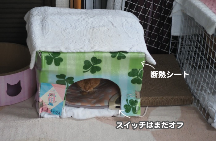 9日夕ブログ４