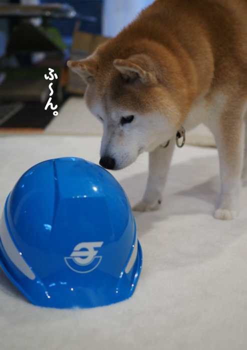 26日夕ブログ4