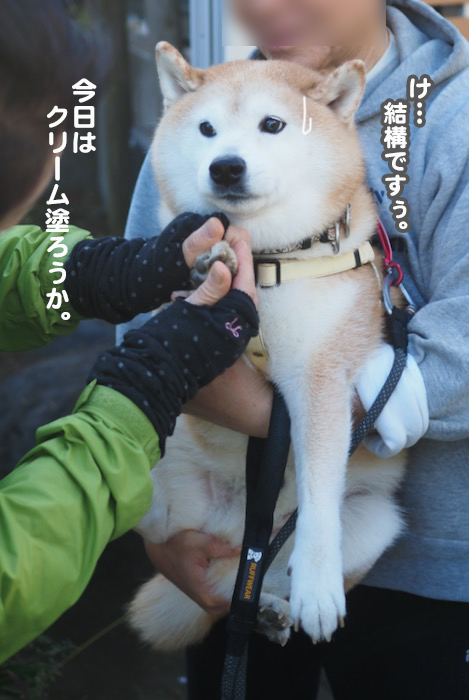 7日ブログ１１