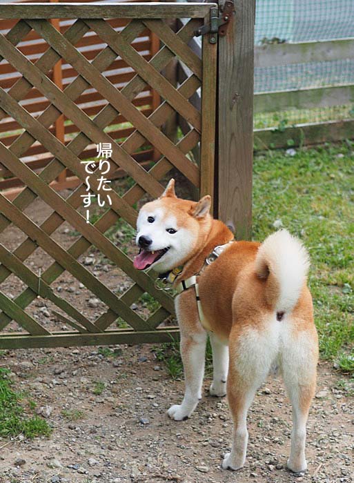 3日ブログ７