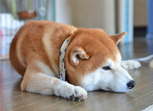 22日ブログ7.jpg