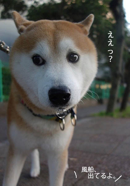27日ブログ4