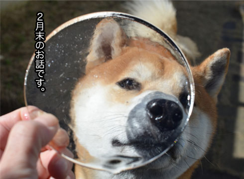 20日ブログ2.jpg
