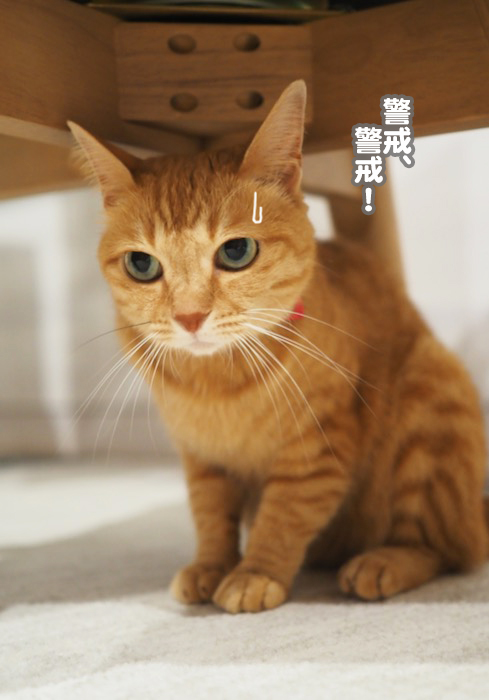 ９日ブログ２