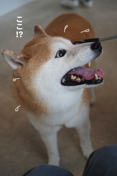 7日夕ブログ５