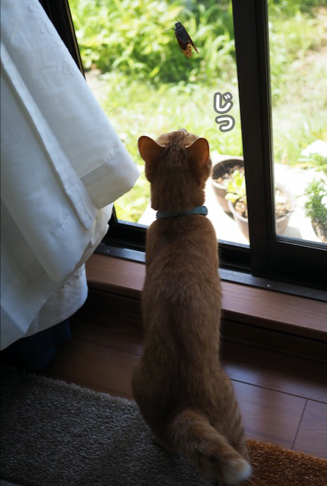 21日ブログ５