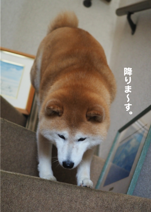 20日夕ブログ１５
