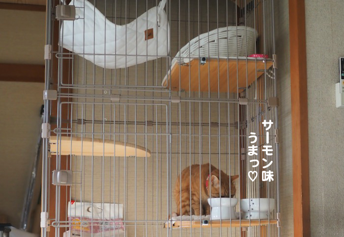 18日ブログ２
