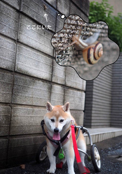 9日夕ブログ９