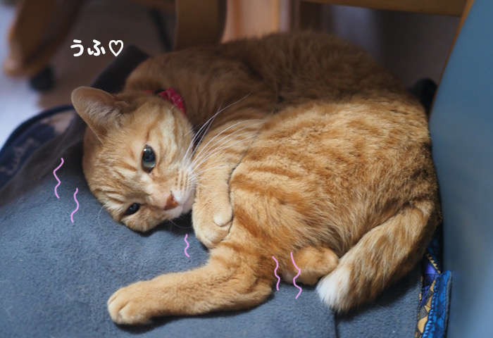 15日夕ブログ３