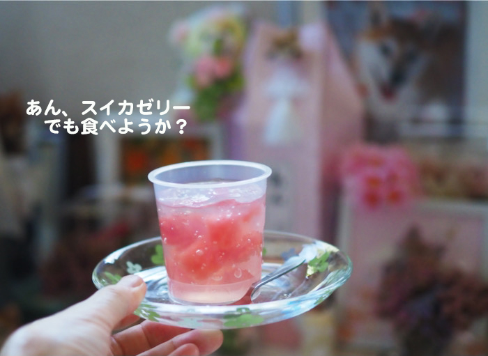 11日夕ブログ７