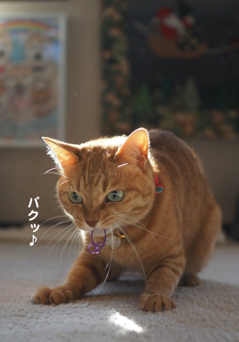 13日夕ブログ３