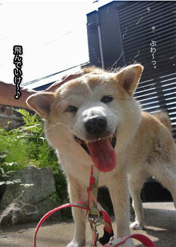 28日ブログ7.jpg