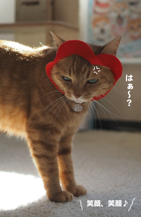 13日ブログ３