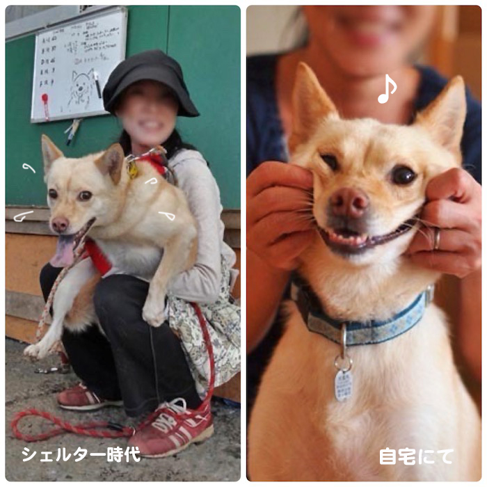 9日ブログ１１