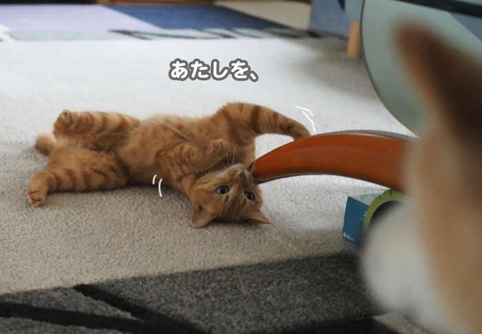 7日夕ブログ７