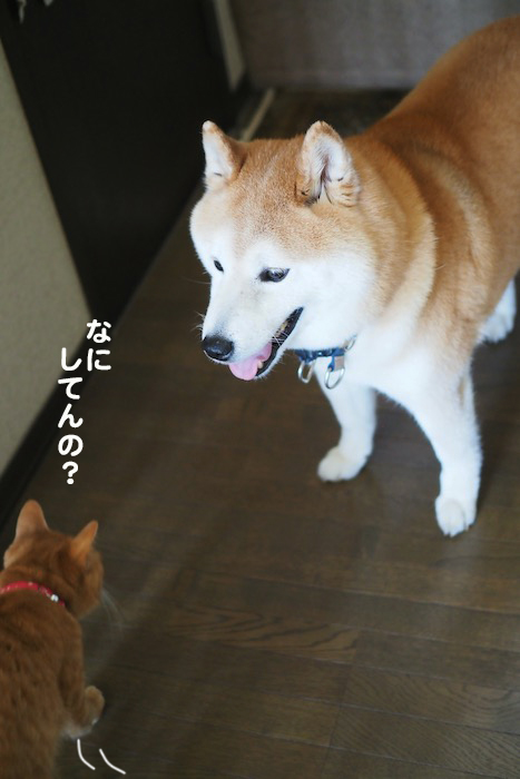 11日ブログ５