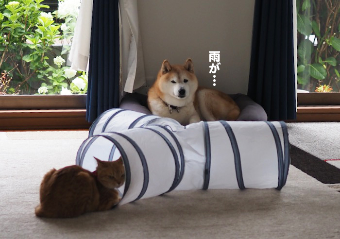 31日ブログ２