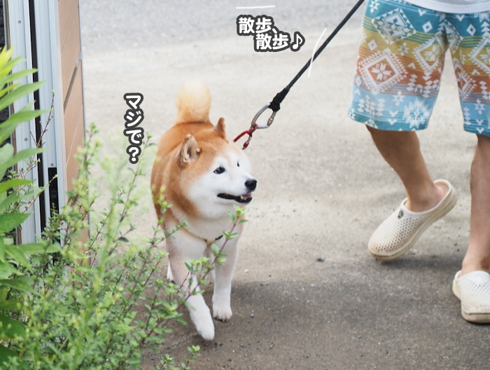 14日夕ブログ５