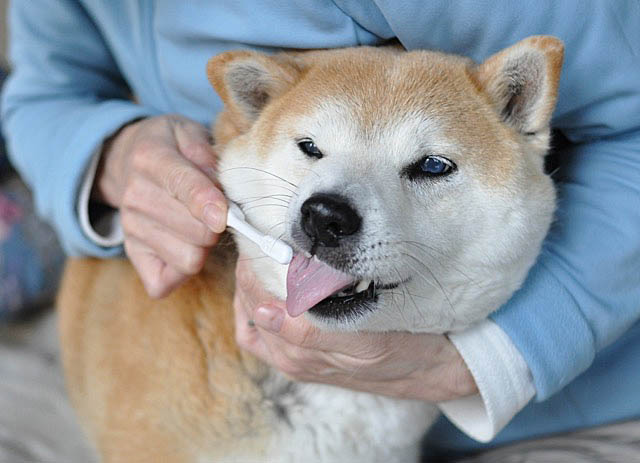 24日ブログ10