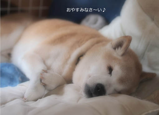 16日ブログ7.jpg