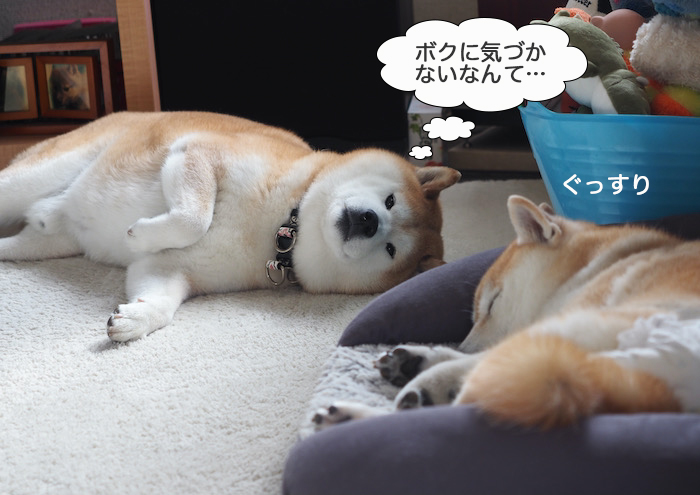 16日ブログ３