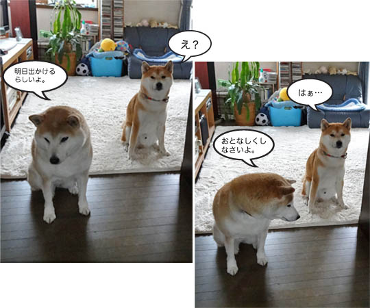 24日ブログ8.jpg