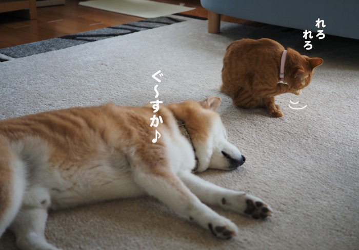 12日夕ブログ２