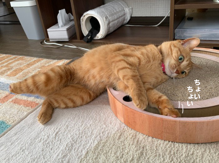 19日夕ブログ２