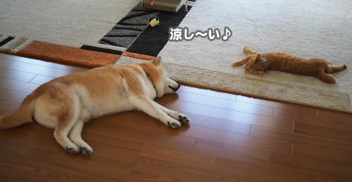 2日ブログ2