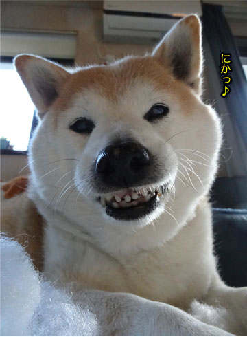 22日ブログ5.jpg