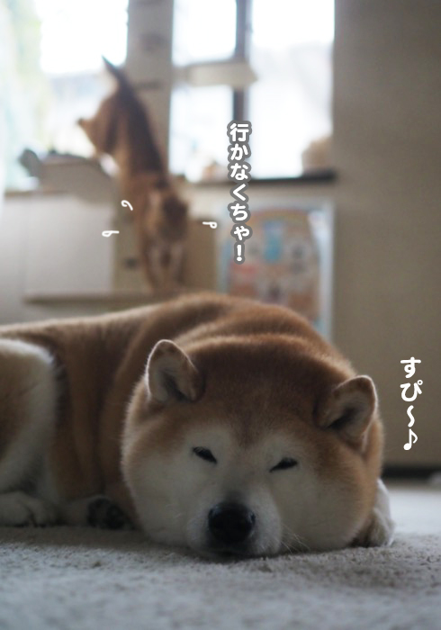 5日ブログ２