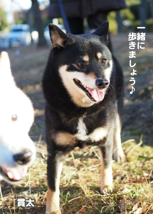 23日夕ブログ３