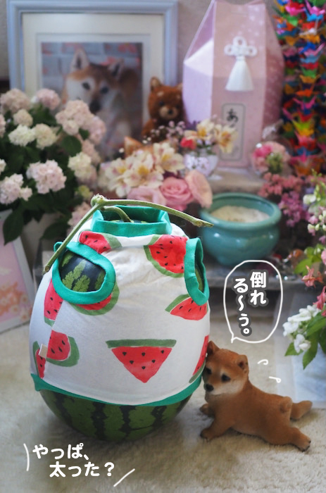 20日夜ブログ７