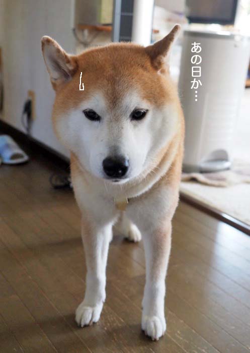 13日ブログ５