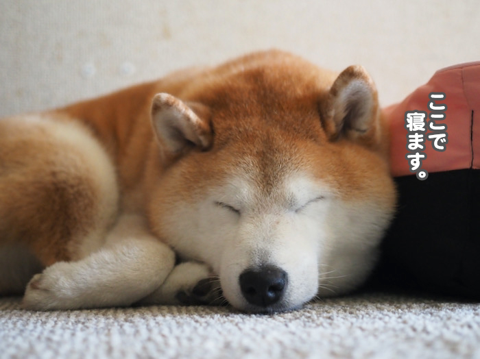 3日ブログ４